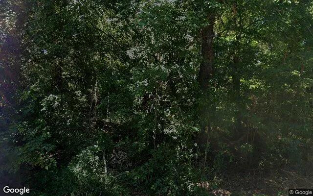 Decorative background for 0.49 Acres in Champlain - Essex County, VA image 5