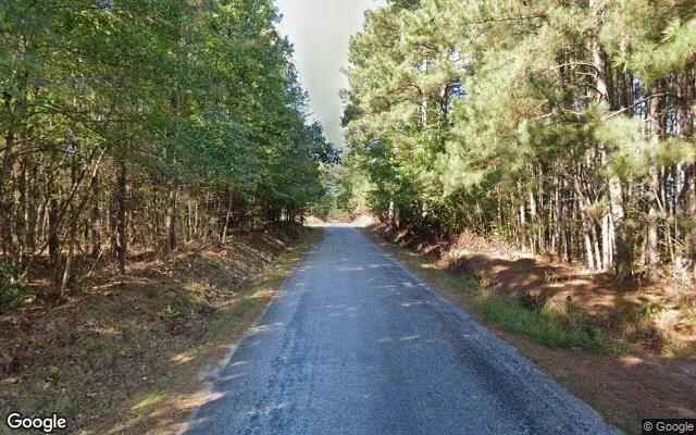 Decorative background for 7.49 Acres in Warfield - Brunswick County, VA image 5