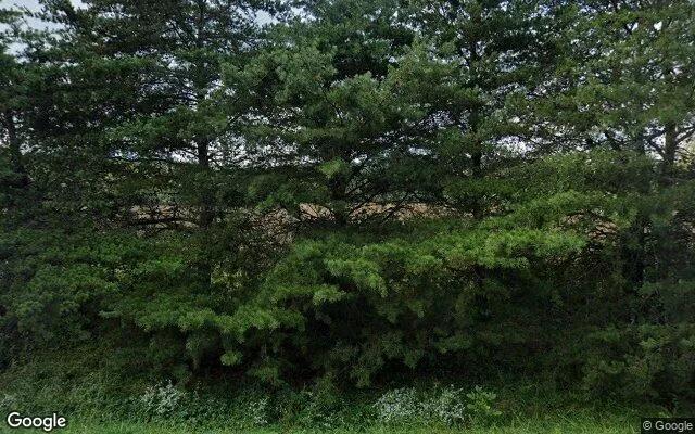 15.01 Acres in Rapidan - Culpeper County, VA - Image 4