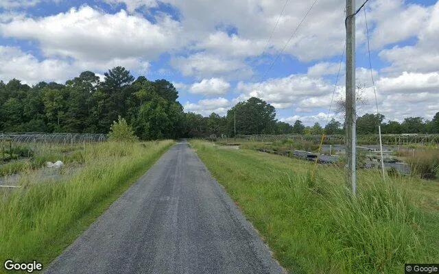 Decorative background for 1.48 Acres in Bohannon - Mathews County, VA image 5