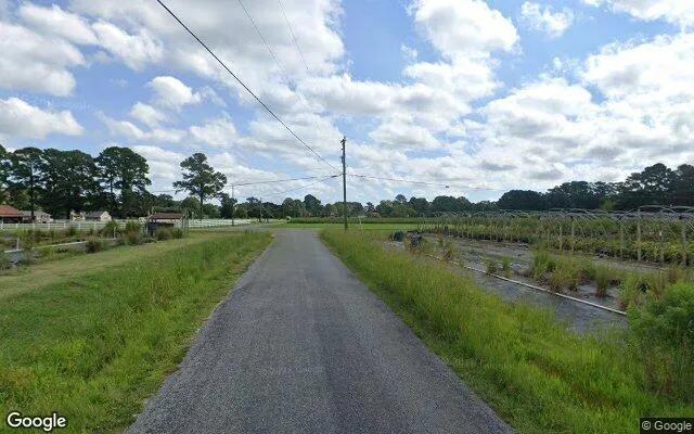 Decorative background for 1.48 Acres in Bohannon - Mathews County, VA image 6