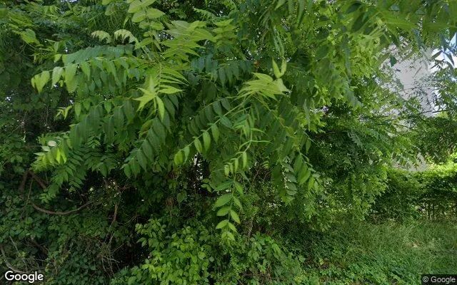 0.55 Acres in Abingdon - Washington County, VA in Washington County, Virginia