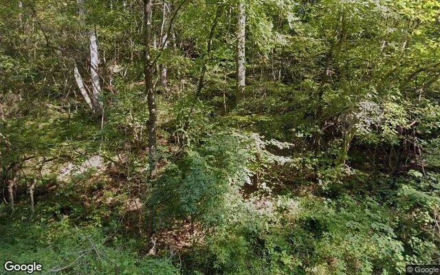 0.12 Acres in Hiwassee - Pulaski County, VA in Pulaski County, Virginia
