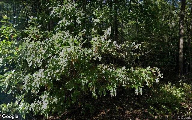 0.37 Acres in Dahlgren - King George County, VA in King George County, Virginia