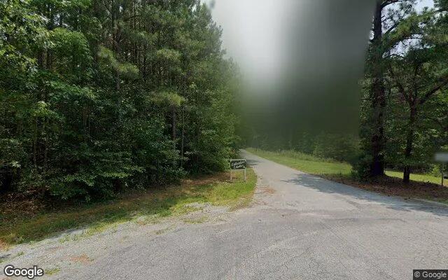 Decorative background for 10.49 Acres in Ebony - Brunswick County, VA image 6