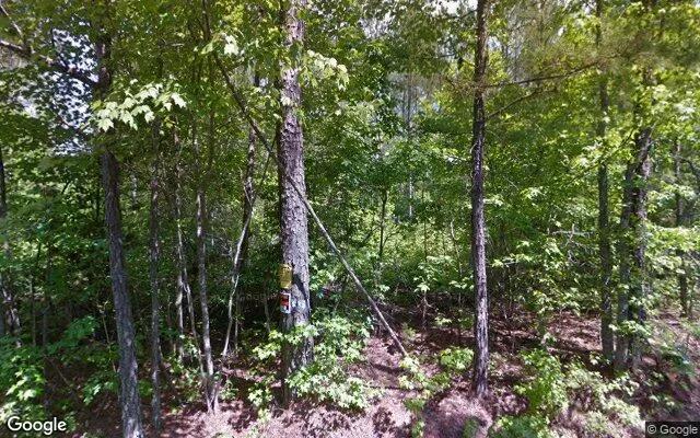 Decorative background for 7.5 Acres in Gasburg - Brunswick County, VA image 5