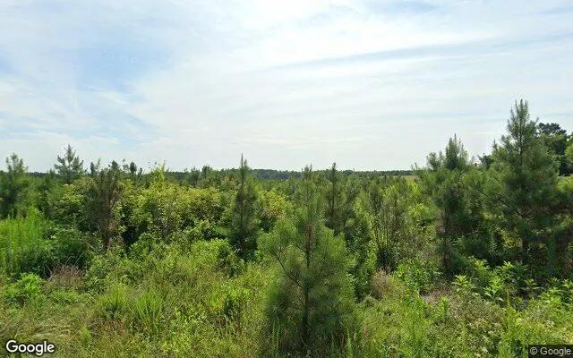 0.5 Acres in Dundas - Lunenburg County, VA - Image 4