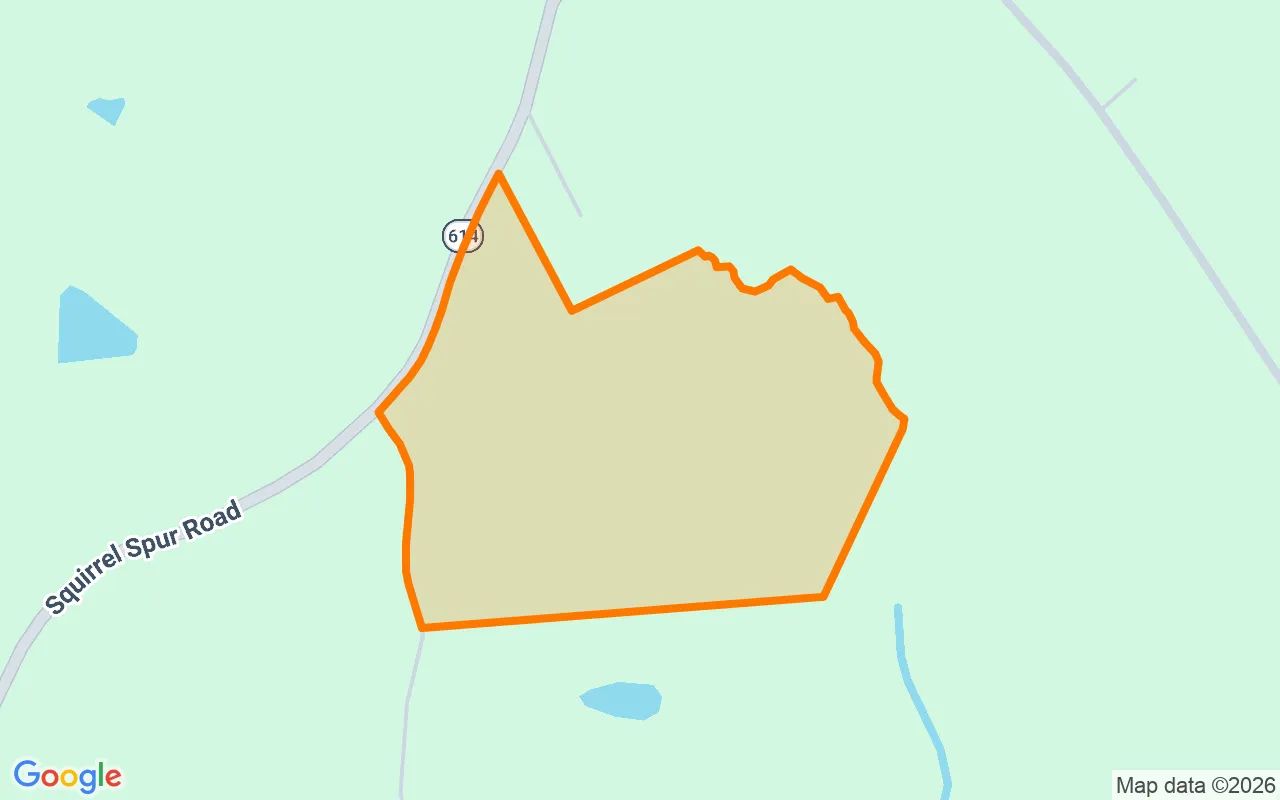 35.14 Acres in Meadows Of Dan - Patrick County, VA in Patrick County, Virginia
