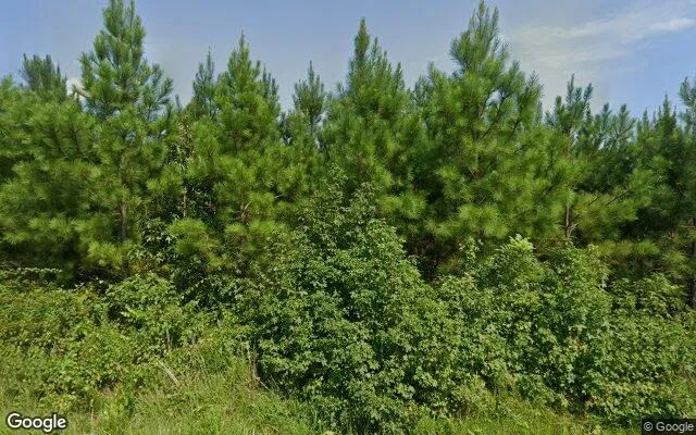 34.8 Acres in Victoria - Lunenburg County, VA in Lunenburg County, Virginia