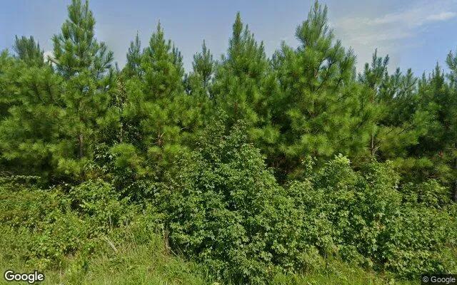 34.8 Acres in Victoria - Lunenburg County, VA - Image 4