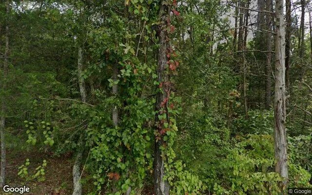 0.56 Acres in Oakpark - Madison County, VA in Madison County, Virginia