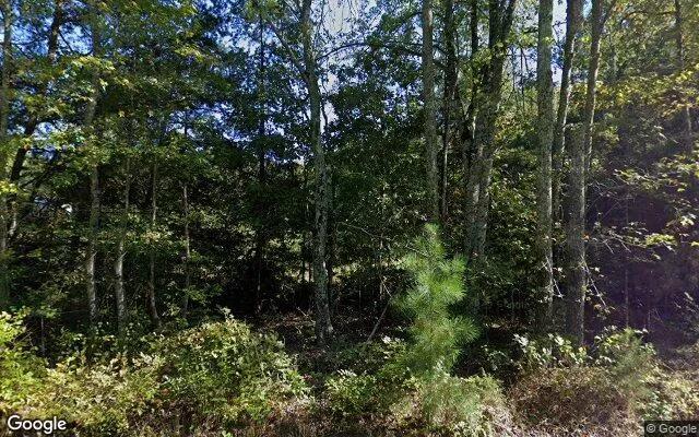 15 Acres in King George - King George County, VA - Image 4