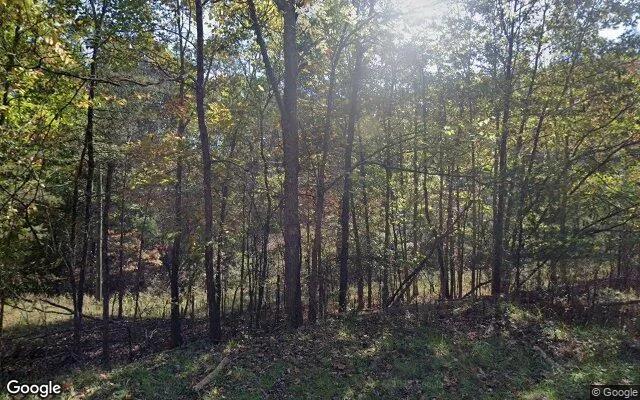 71.39 Acres in Millboro - Bath County, VA - Image 4