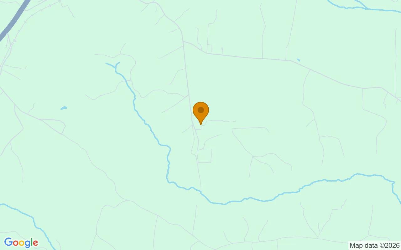 0.48 Acres in Jetersville - Amelia County, VA - Image 4