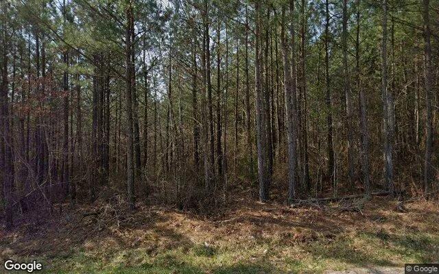 14.99 Acres in Nottoway - Nottoway County, VA - Image 4