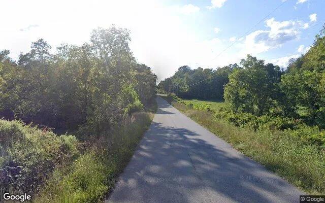 Decorative background for 34.65 Acres in Patrick Springs - Patrick County, VA image 6