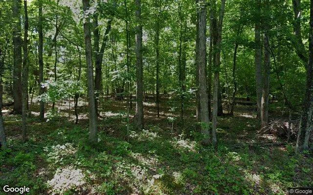 3.49 Acres in South Boston - Halifax County, VA - Image 4