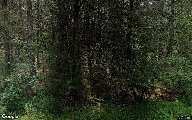 30.99 Acres in New Castle - Craig County, VA in Craig County, Virginia
