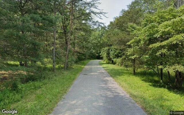 Decorative background for 30.99 Acres in New Castle - Craig County, VA image 6