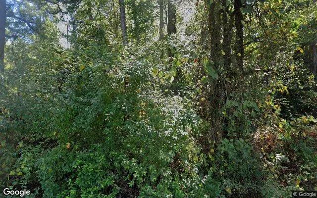 0.16 Acres in Jersey - King George County, VA - Image 4