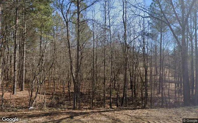 Decorative background for 0.31 Acres in Nelson - Mecklenburg County, VA image 6