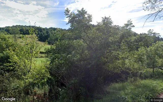 Decorative background for 4.15 Acres in Indian Valley - Floyd County, VA image 5