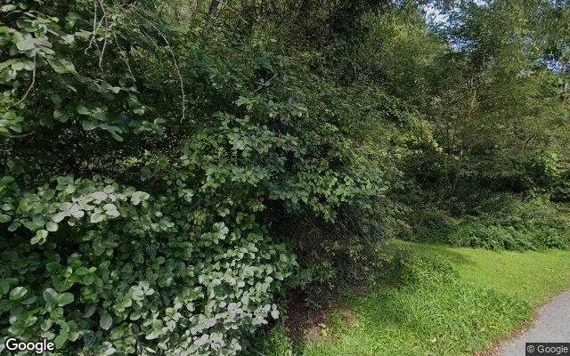 Decorative background for 4.15 Acres in Indian Valley - Floyd County, VA image 6
