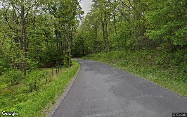 Decorative background for 123.5 Acres in Monterey - Highland County, VA image 5
