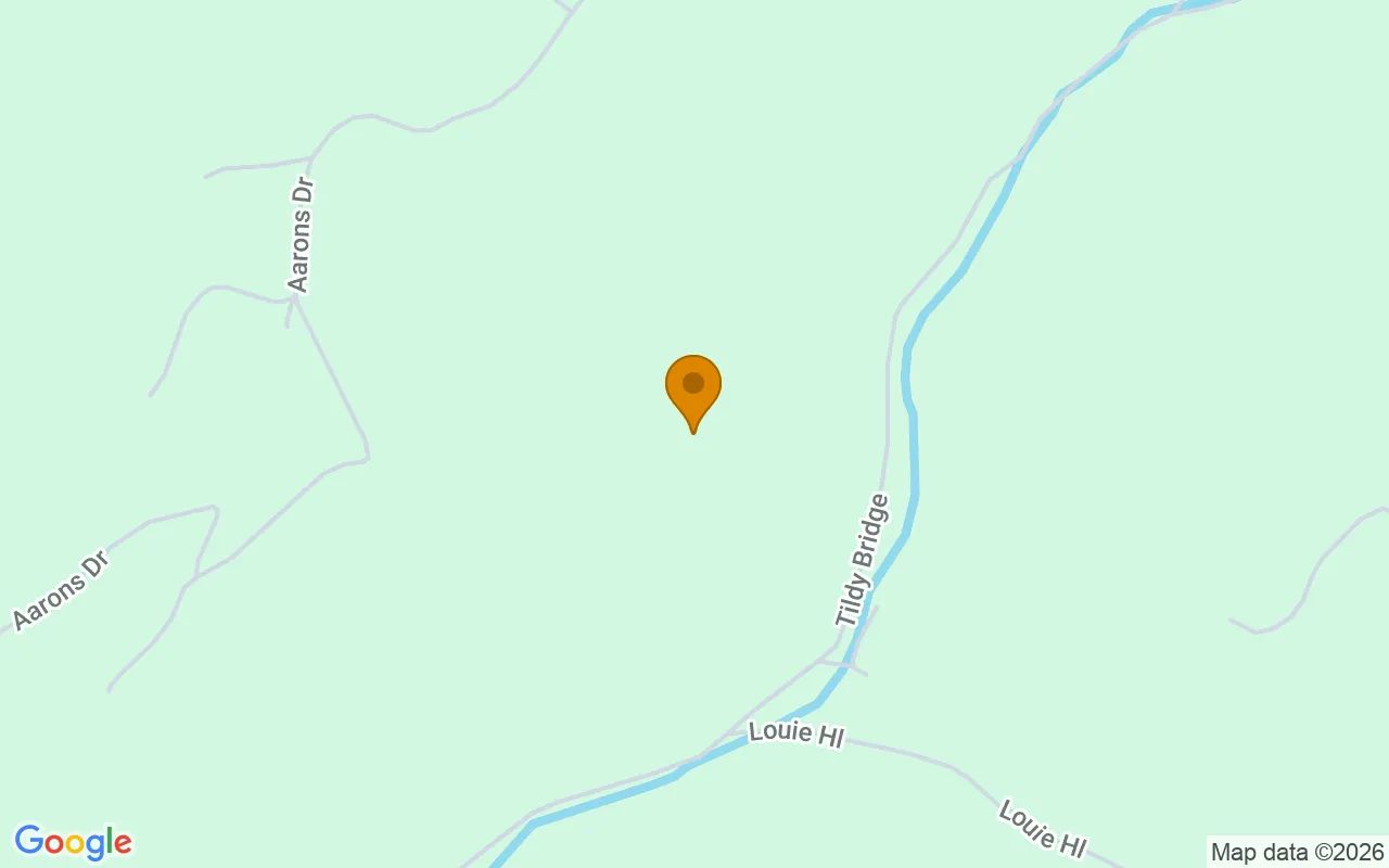 31.83 Acres in Birchleaf - Dickenson County, VA in Dickenson County, Virginia