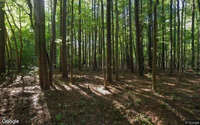0.55 Acres in Deltaville - Middlesex County, VA - Image 4