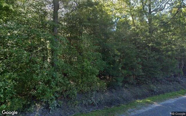 Decorative background for 0.25 Acres in Hudgins - Mathews County, VA image 6