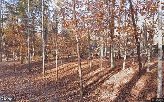 Decorative background for 0.14 Acres in Thaxton - Bedford County, VA image 5