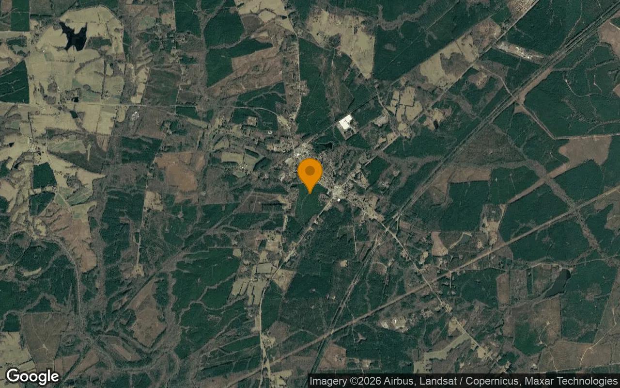 34.52 Acres in Mc Kenney - Dinwiddie County, VA - Image 3