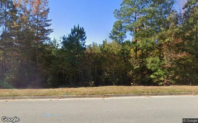 34.52 Acres in Mc Kenney - Dinwiddie County, VA in Dinwiddie County, Virginia