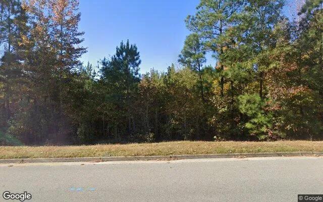 34.52 Acres in Mc Kenney - Dinwiddie County, VA - Image 4