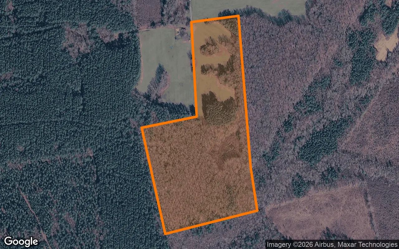 34.99 Acres in Mc Kenney - Dinwiddie County, VA in Dinwiddie County, Virginia