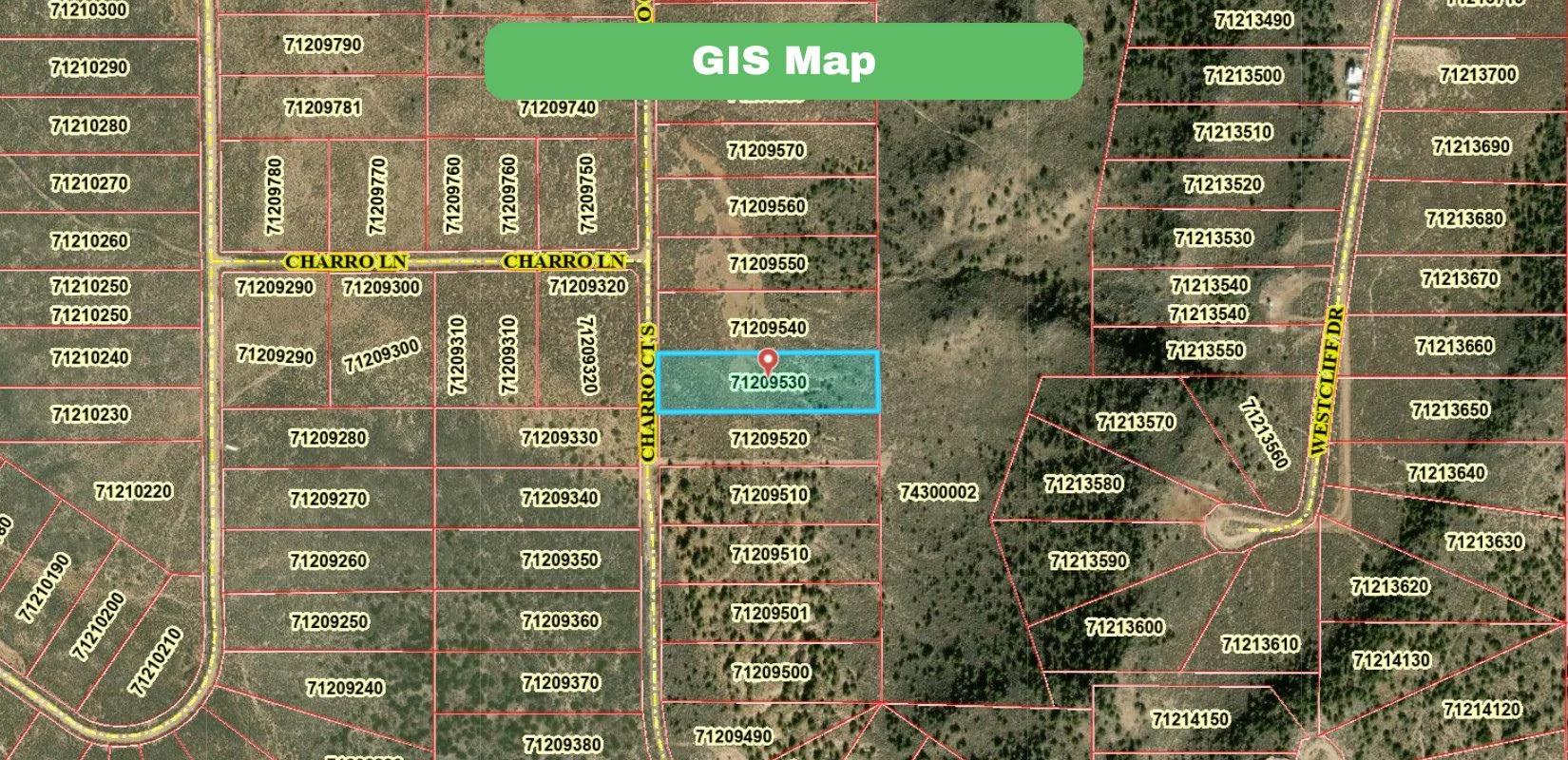 Decorative background for Costilla, CO Land For Sale - 2.5 Acres of Opportunity image 5