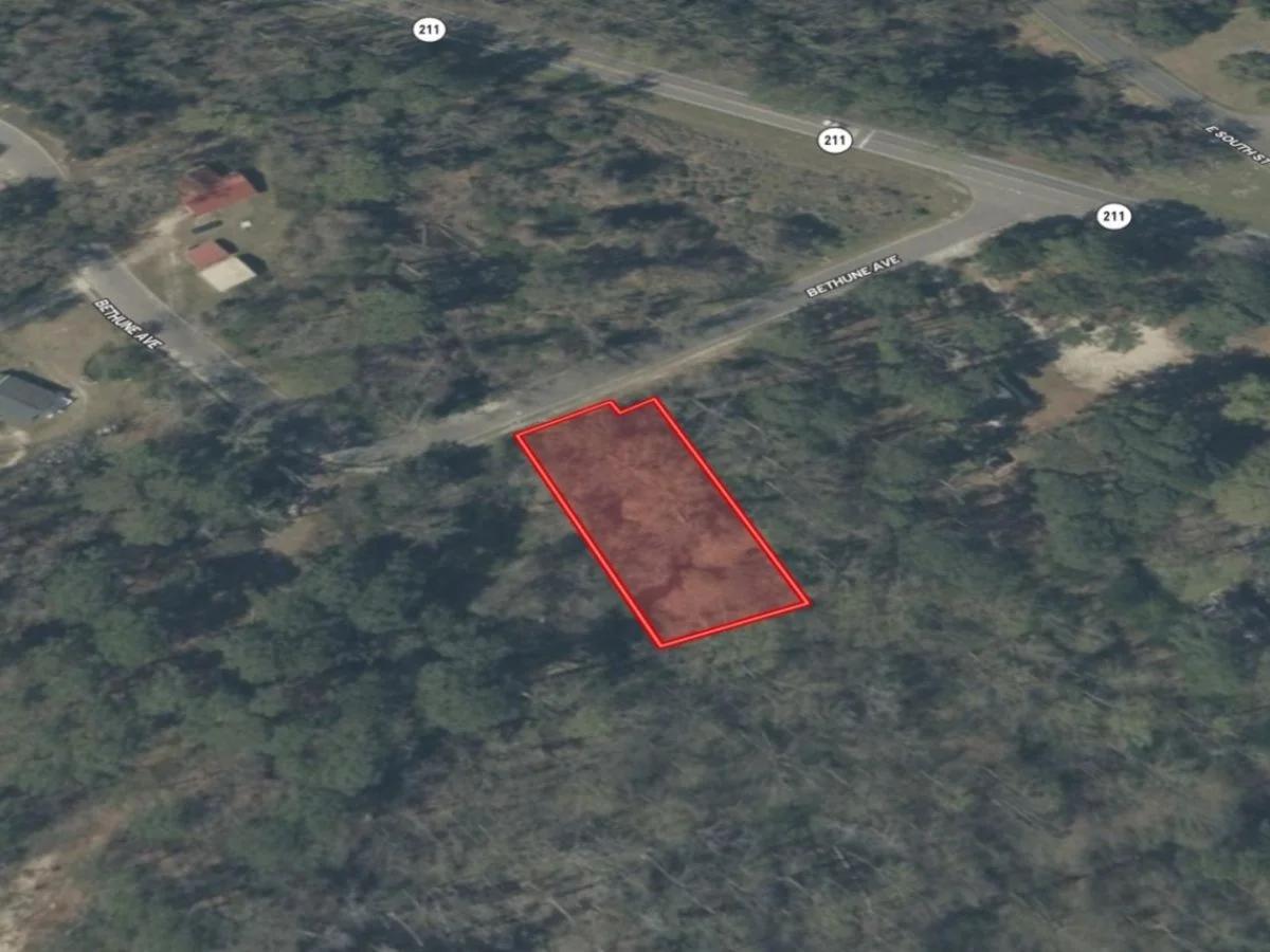 0.32 Acres in NC NOW – Unbelievable Price, Won’t Last! - Image 2