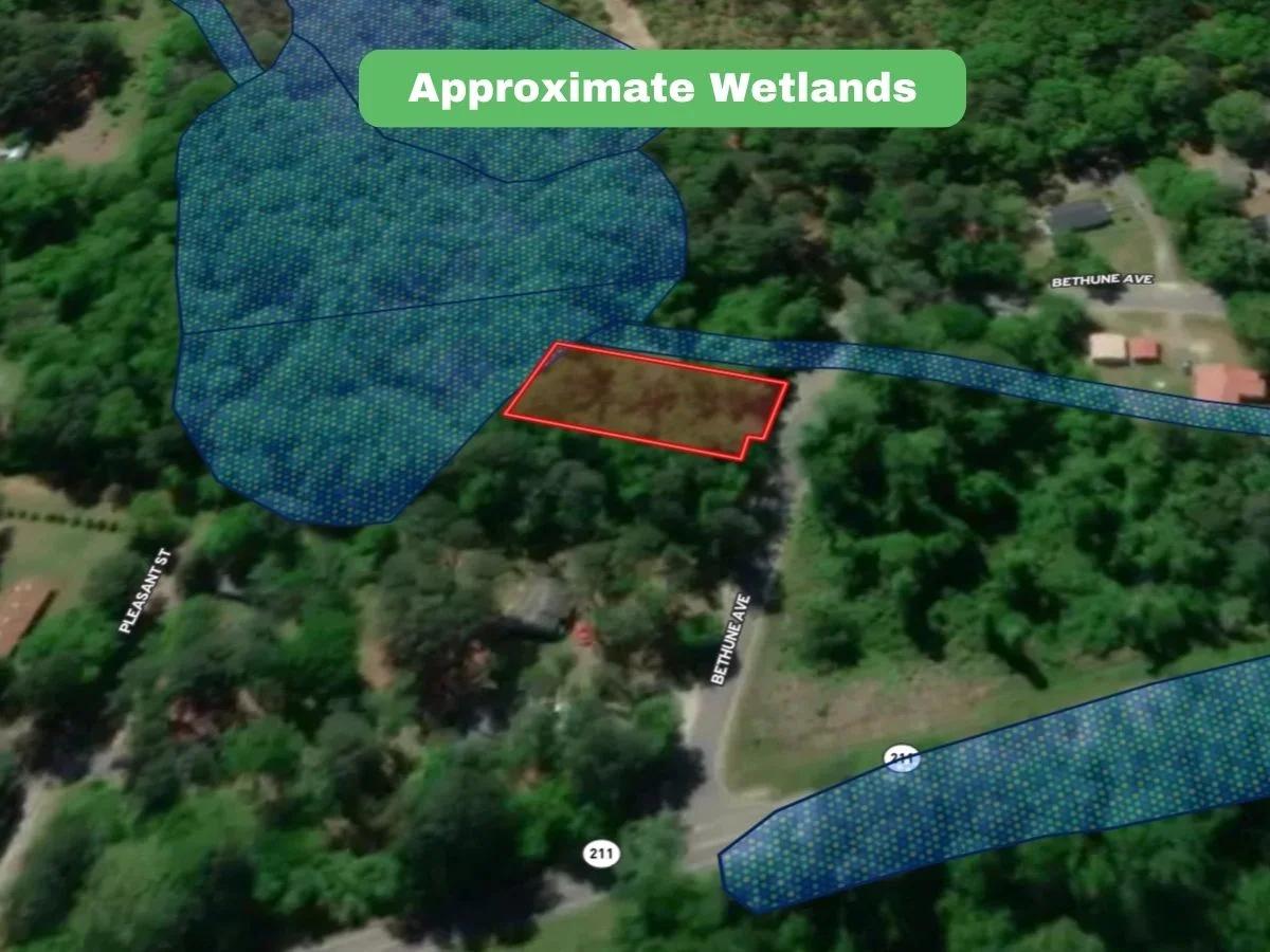 Decorative background for 0.32 Acres in NC NOW – Unbelievable Price, Won’t Last! image 7