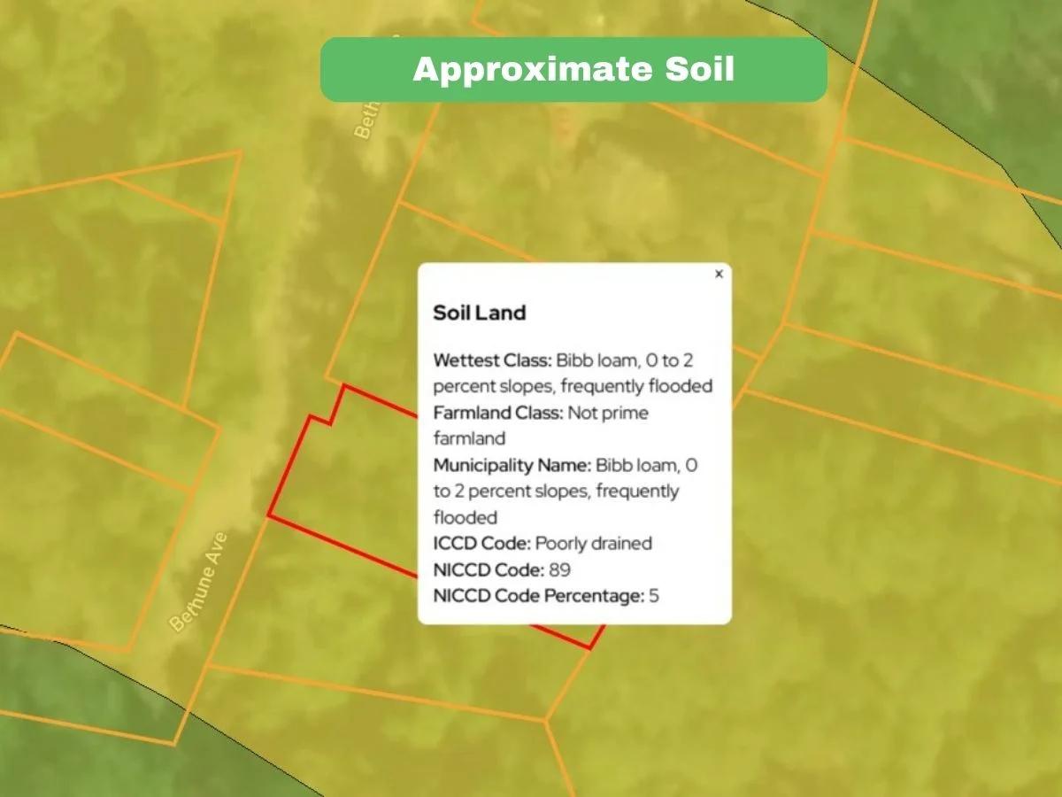 Decorative background for 0.32 Acres in NC NOW – Unbelievable Price, Won’t Last! image 19