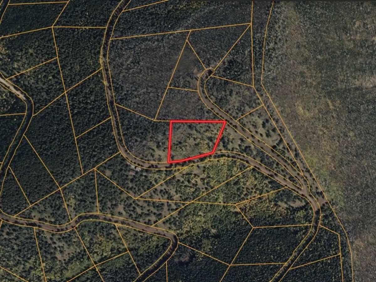 3.206 Acres in CO NOW – Unbelievable Price, Won’t Last! in Costilla County, CO