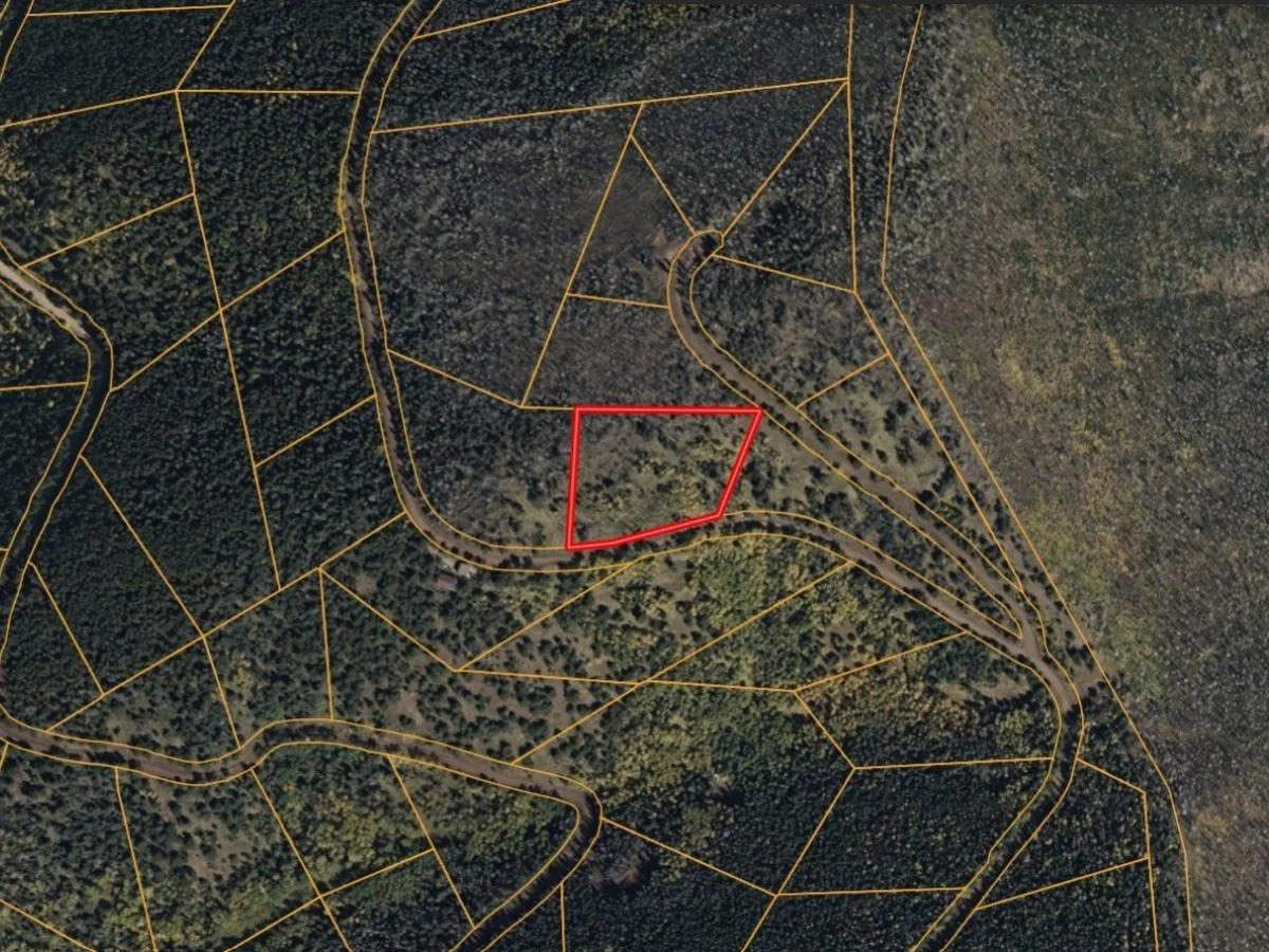 3.206 Acres in CO NOW – Unbelievable Price, Won’t Last! - Main image