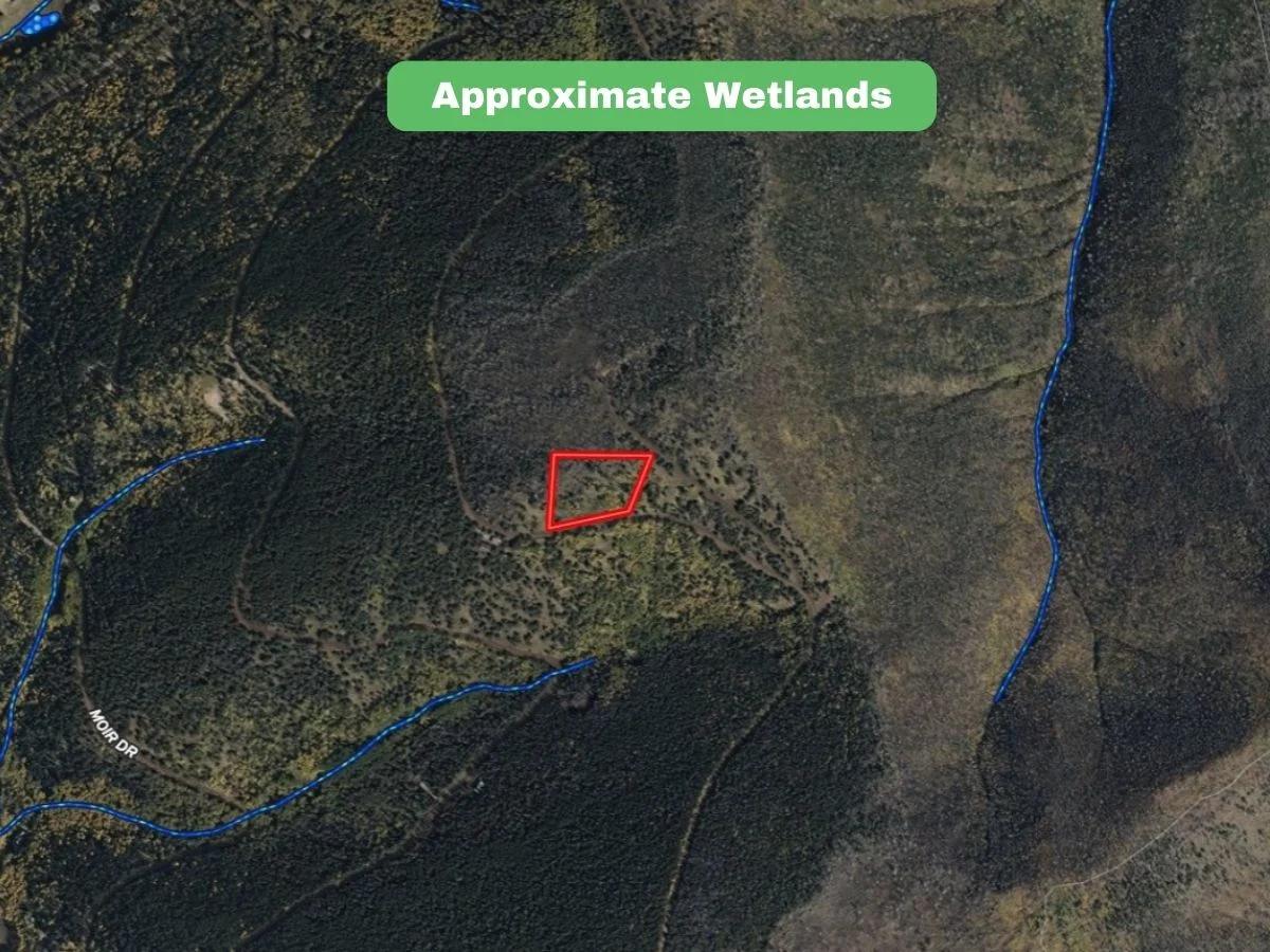 Decorative background for 3.206 Acres in CO NOW – Unbelievable Price, Won’t Last! image 7