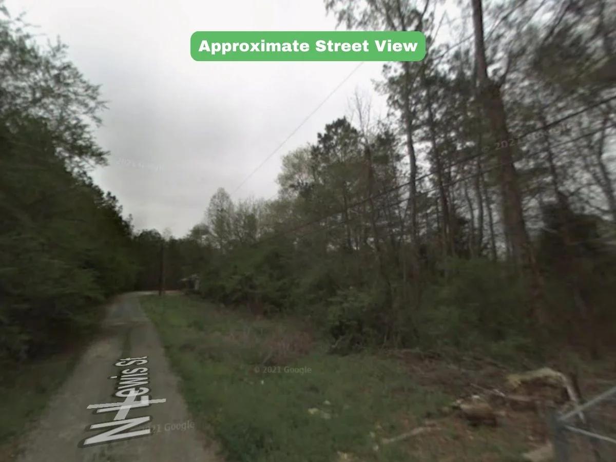 2.9 Acres Land For Sale in Chattooga, GA - Image 3