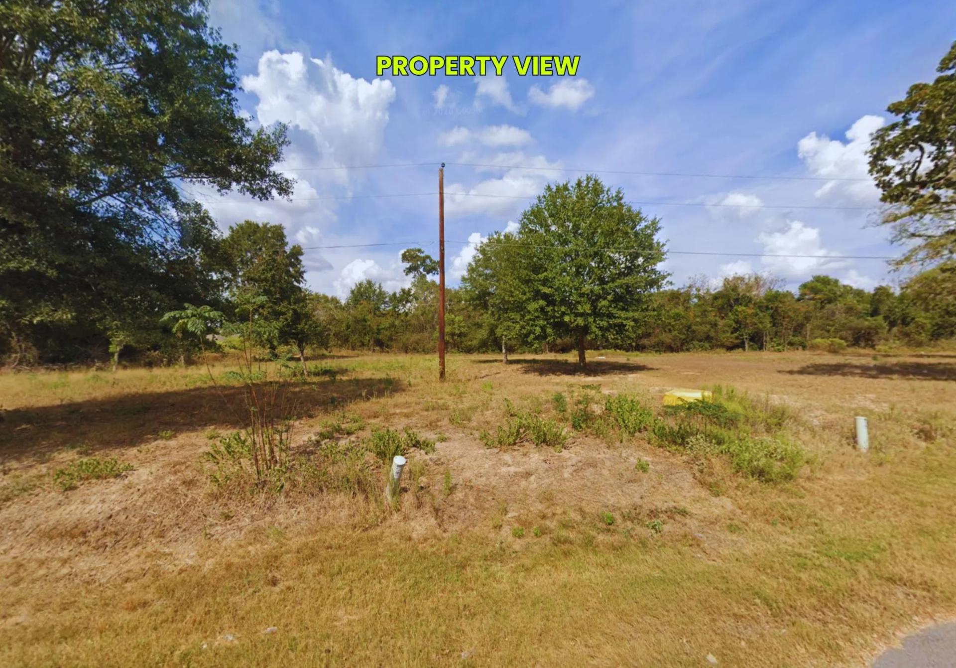 Decorative background for 0.45 Acres • Two Adjoining Lots • 313' of Paved-Road Frontage • Single-Family Residential Zoning • Cleared & Outside the Flood Zone • Growing Hempstead/Waller County Location • Owner Financing Available image 6