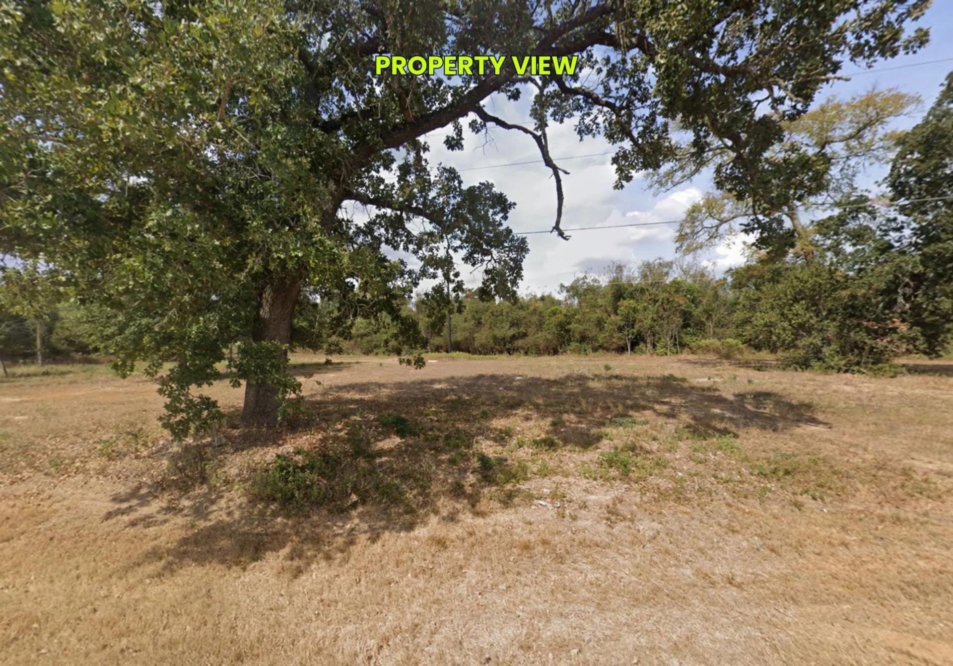 Decorative background for 0.45 Acres • Two Adjoining Lots • 313' of Paved-Road Frontage • Single-Family Residential Zoning • Cleared & Outside the Flood Zone • Growing Hempstead/Waller County Location • Owner Financing Available image 8