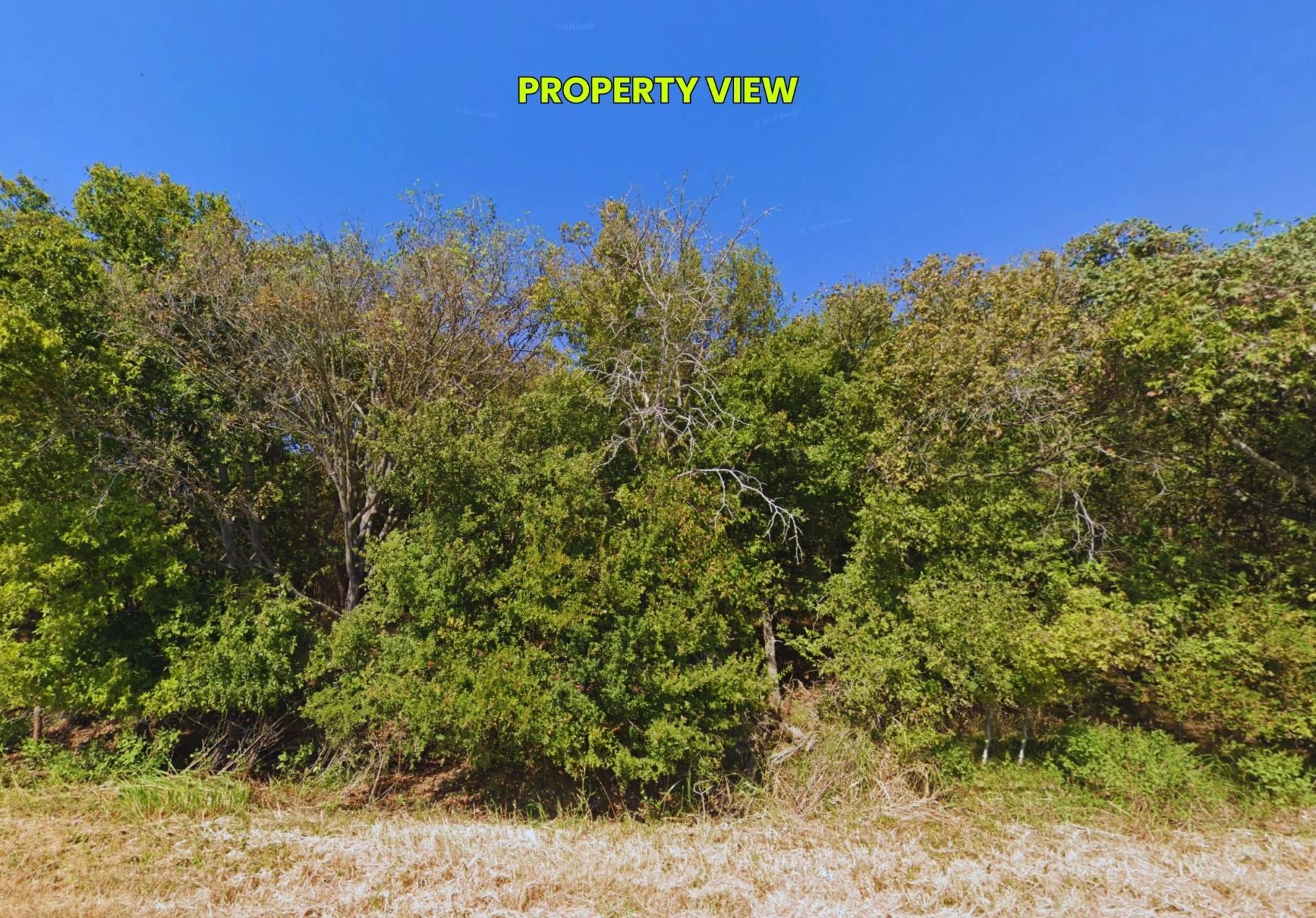 Decorative background for 1 Acre Vacant Land - No HOA Fees - No Subdivision Restrictions - Allows Mobile / Manufactured Homes - $100k+ Value for $50k - Owner Financing Available! image 5