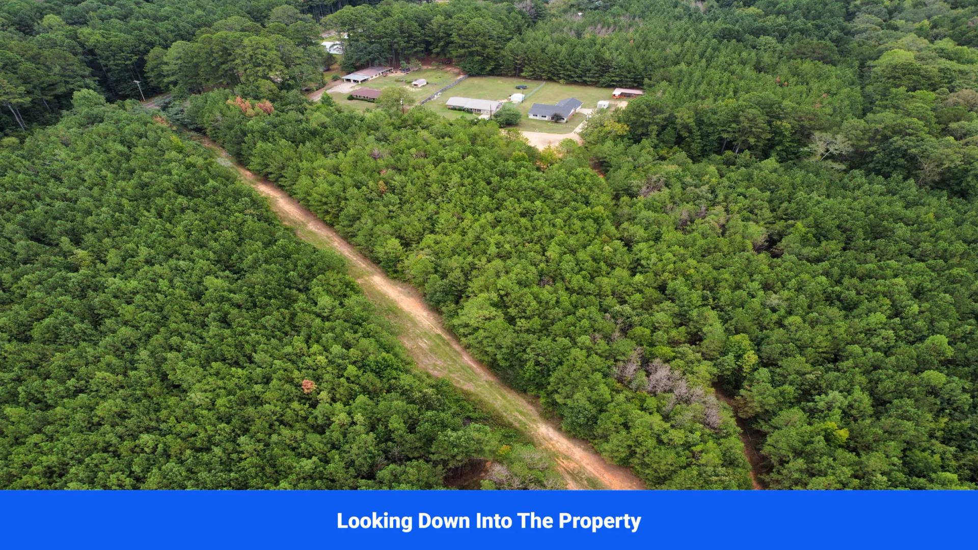Decorative background for Discover Attala County’s Hidden Gem: 6 Premier Lots Offering Affordable Living and Unmatched Natural Beauty! image 12