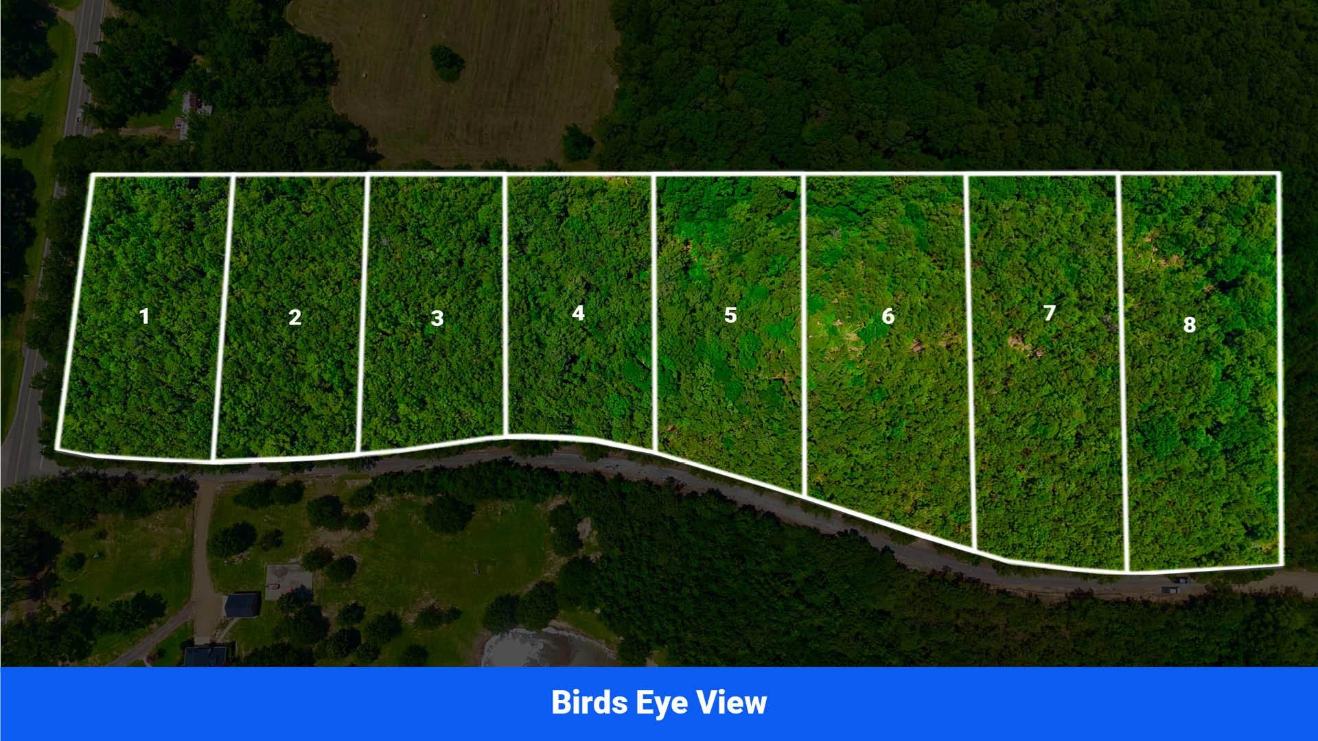 7 Buildable Tracts Near Eupora, MS - Image 2