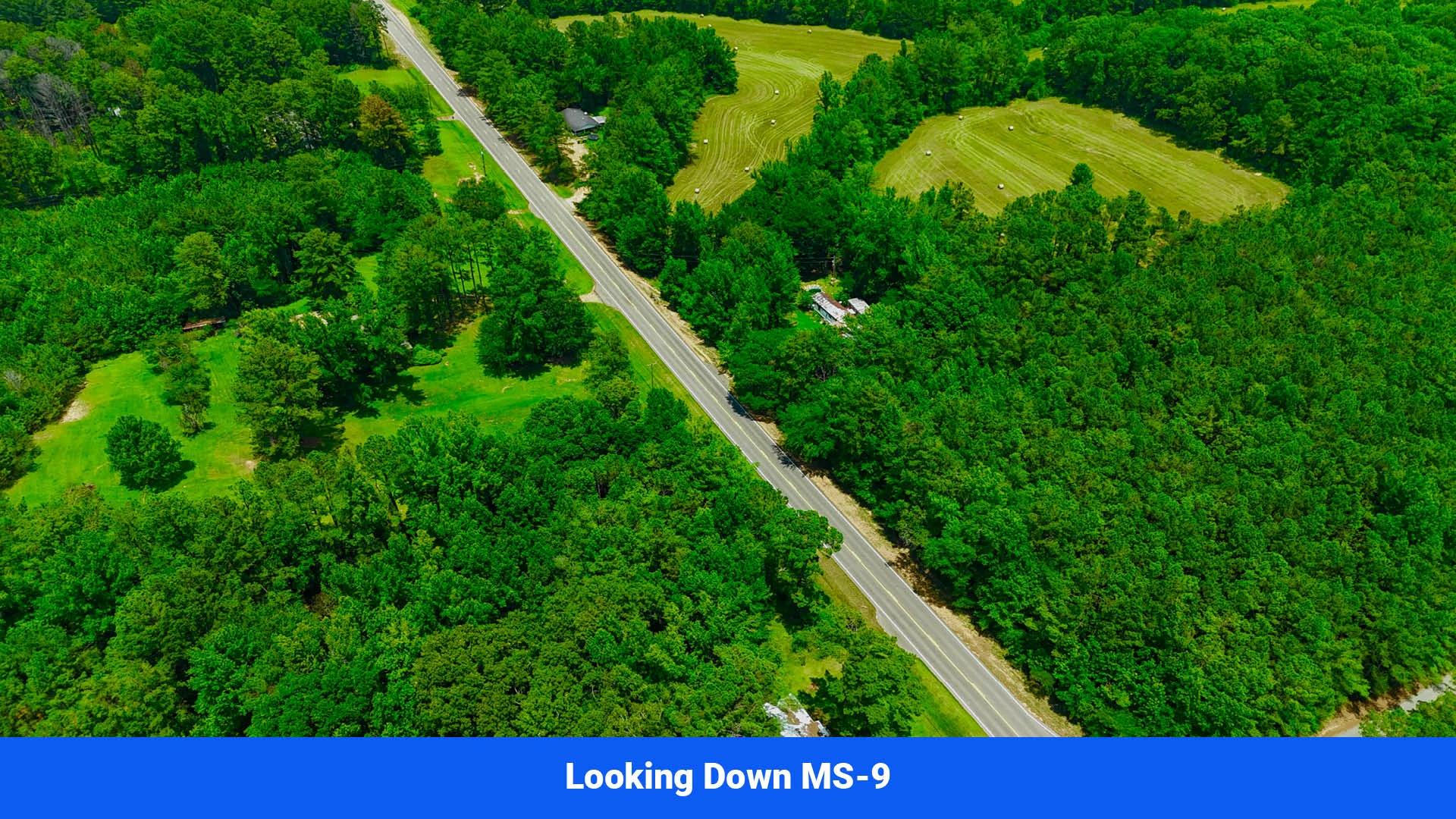 Decorative background for 7 Buildable Tracts Near Eupora, MS image 7
